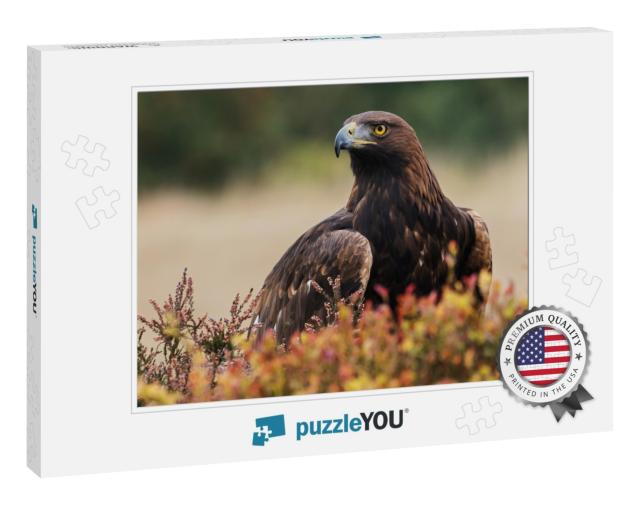 Golden Eagle Looking Around. a Majestic Golden Eagle Take... Jigsaw Puzzle
