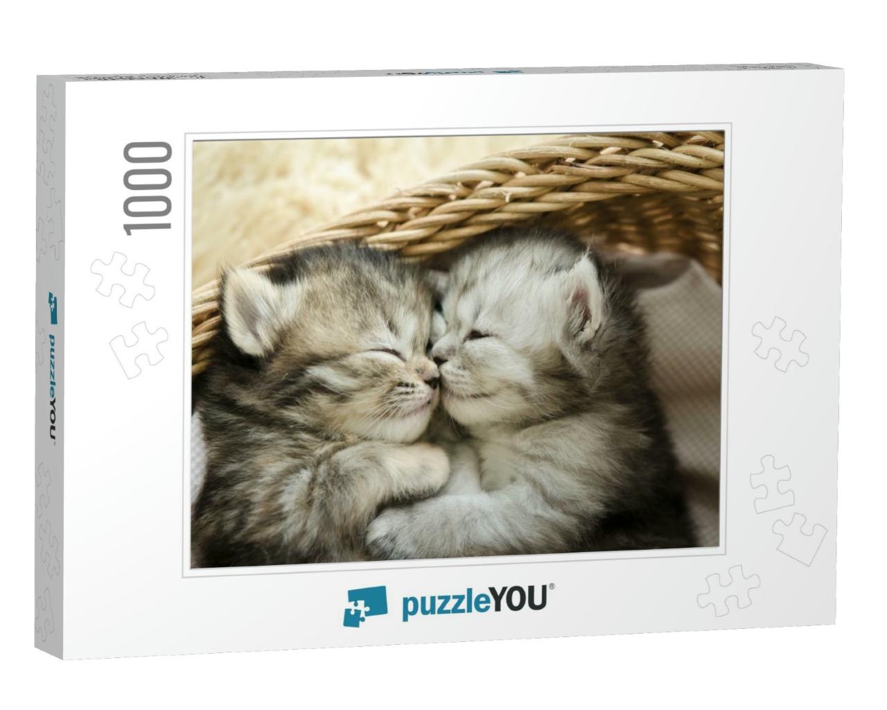 Cute Tabby Kittens Sleeping & Hugging in a Basket... Jigsaw Puzzle with 1000 pieces