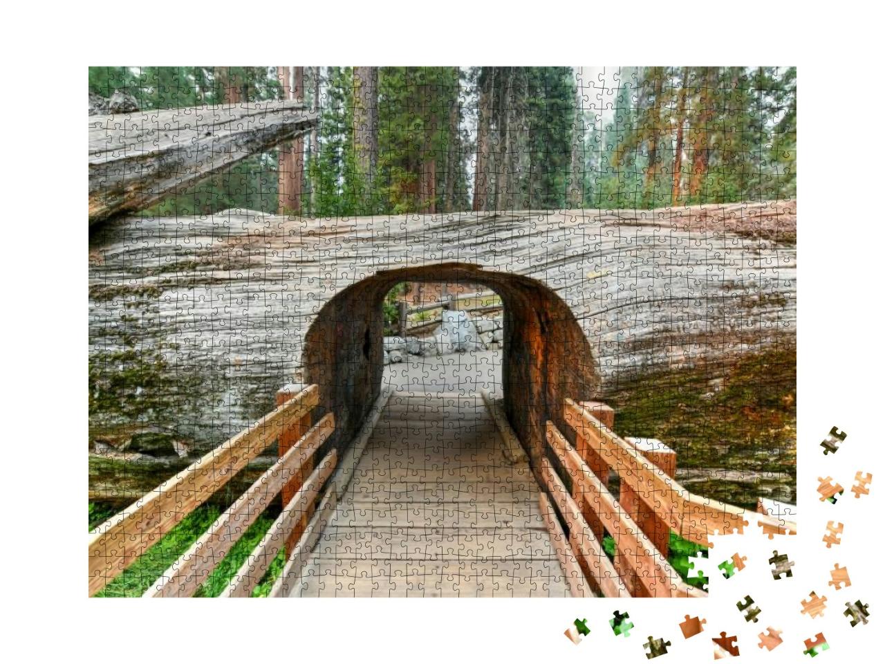 Entrance to Grove with Giant Sequoia Trees, General Sherm... Jigsaw Puzzle with 1000 pieces