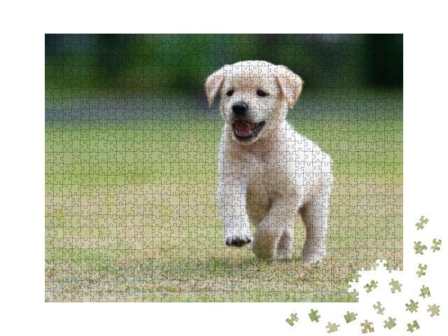 Happy Puppy Dog Running on Playground Green Yard... Jigsaw Puzzle with 1000 pieces