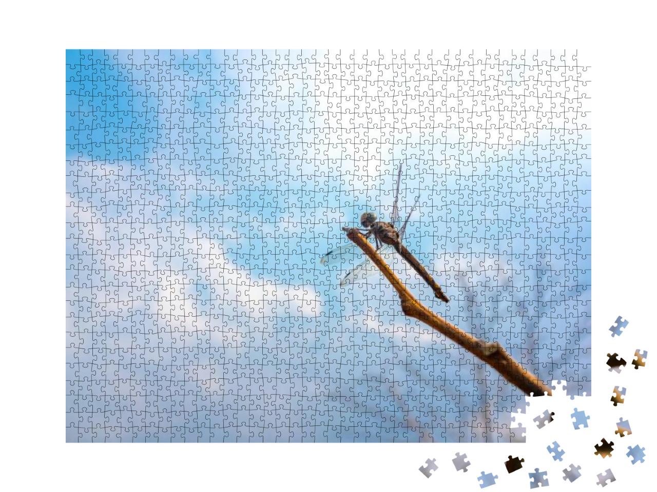 Dragonfly Catching on Branch Tree on Sky Blue or A... Jigsaw Puzzle with 1000 pieces