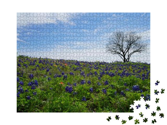Patch of Bluebonnet Wildflowers with Green Country Backgr... Jigsaw Puzzle with 1000 pieces