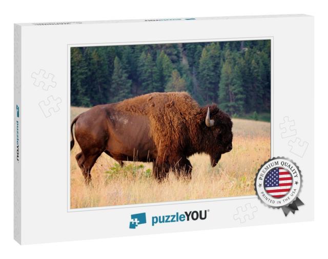 American Bison Buffalo Side Profile Early Morning in Mont... Jigsaw Puzzle