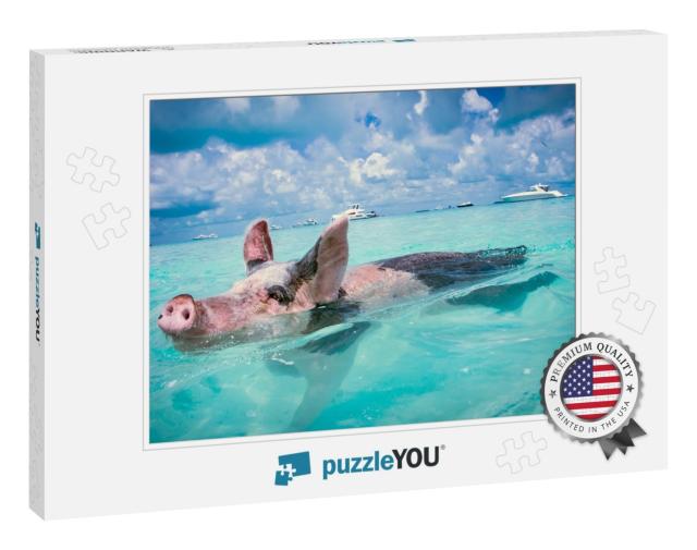 The Swimming Pigs of the Bahamas... Jigsaw Puzzle