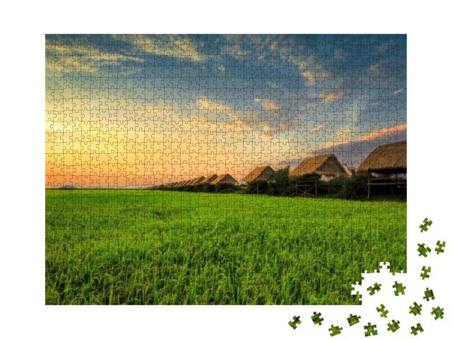 Sunset At Rice Field, Siem Reap... Jigsaw Puzzle with 1000 pieces