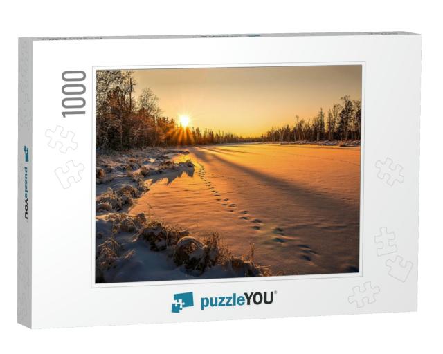 Winter Sunset Forest Sky Sunlight View... Jigsaw Puzzle with 1000 pieces