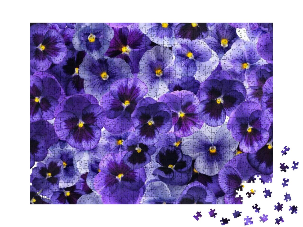 Photographed Fresh Purple Viola Flowers, Covering Complet... Jigsaw Puzzle with 1000 pieces