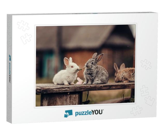 Two Rabbits on a Bench Eating Grass... Jigsaw Puzzle