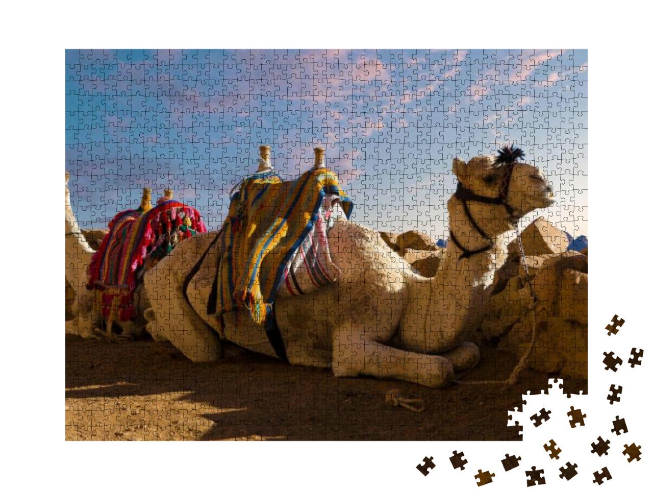 Dromedar Camel on the Background of the Mountain of St. M... Jigsaw Puzzle with 1000 pieces