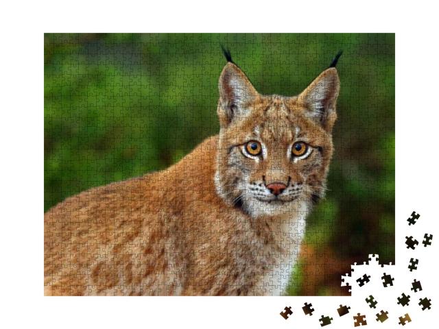 The Eurasian Lynx Lynx Lynx, Portrait. Siberian Lynx Port... Jigsaw Puzzle with 1000 pieces