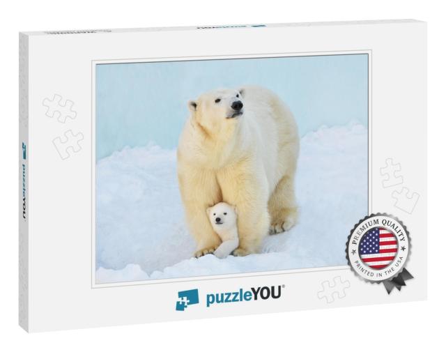 A Polar Bear with a Small Bear Cub in the Snow... Jigsaw Puzzle
