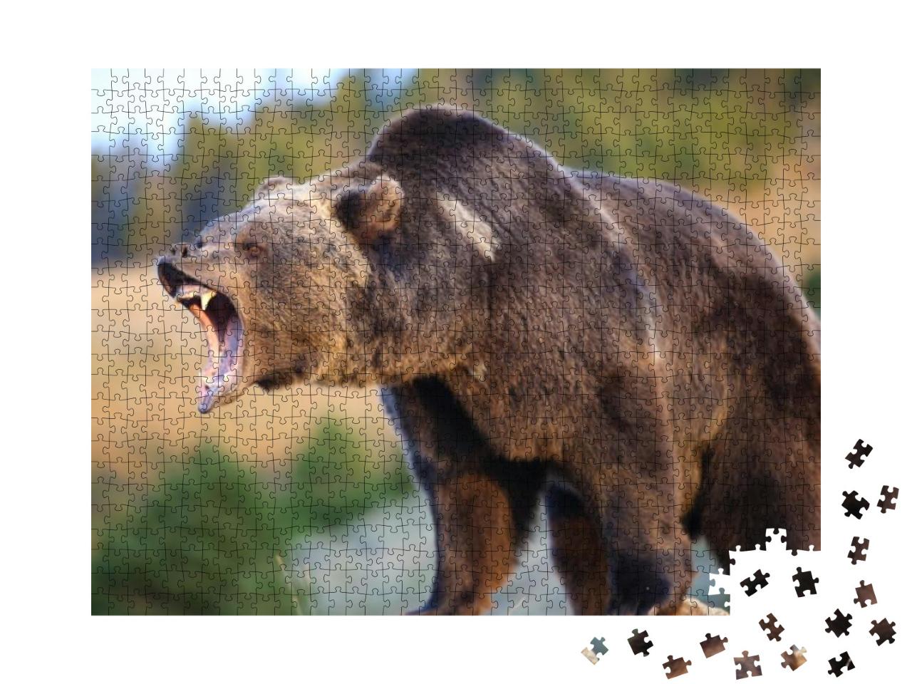 North American Brown Bear Grizzly Growling... Jigsaw Puzzle with 1000 pieces