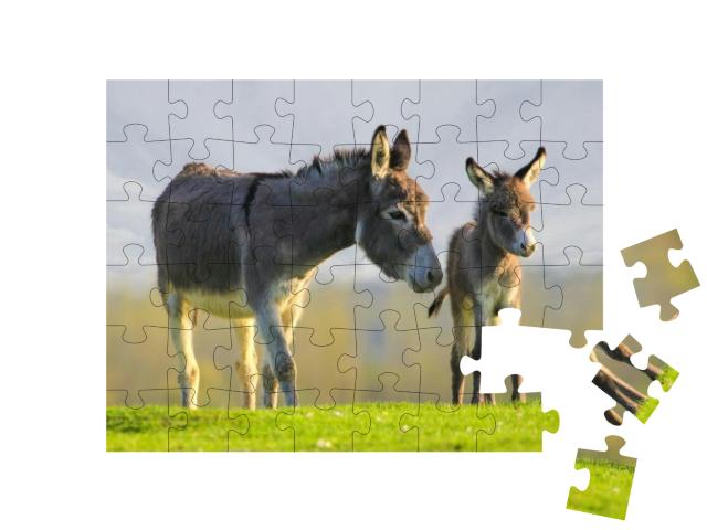 Grey Cute Baby Donkey & Mother on Floral Meadow... Jigsaw Puzzle with 48 pieces