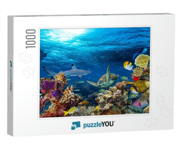 Underwater Coral Reef Landscape 16to9 Background in the D... Jigsaw Puzzle with 1000 pieces