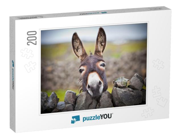 A Nice Donkey Under the Rain. Aran Islands, Ireland... Jigsaw Puzzle with 200 pieces