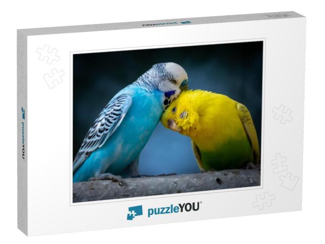 Portrait of Two Cute Cuddling Budgies Perched on Branch w... Jigsaw Puzzle