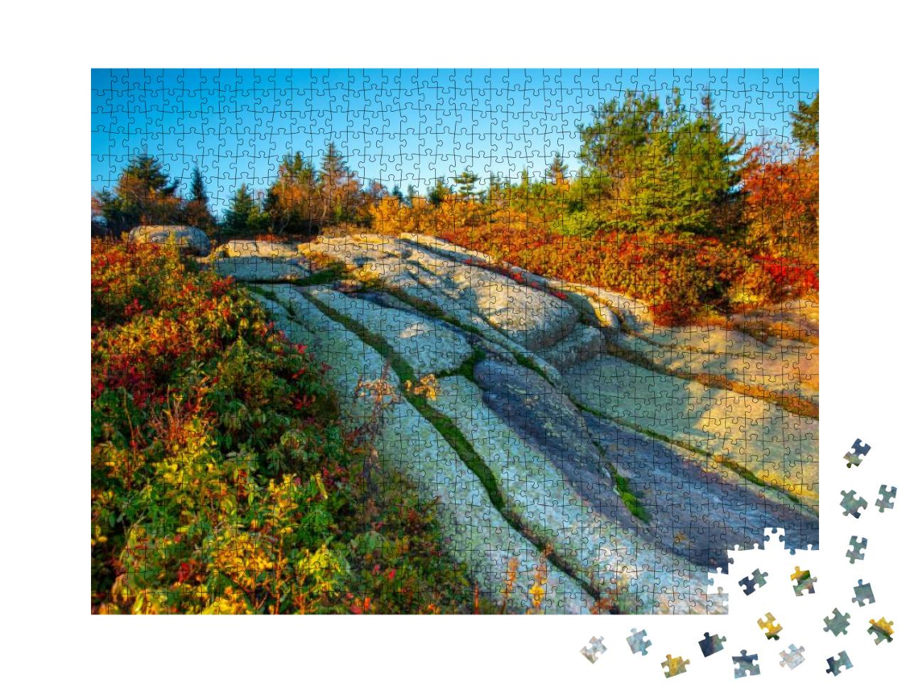 Morning Light on Cadillac Mountain in Acadia National Par... Jigsaw Puzzle with 1000 pieces