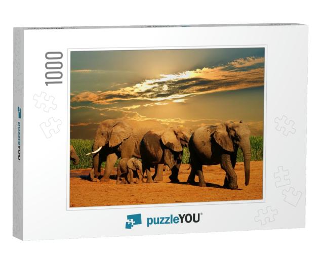 African Elephant Herd, Loxodonta Africana, of Different A... Jigsaw Puzzle with 1000 pieces