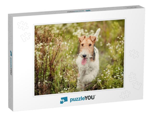 Close Up Shot of a Happy Cute Fox Terrier Dog in the Park... Jigsaw Puzzle