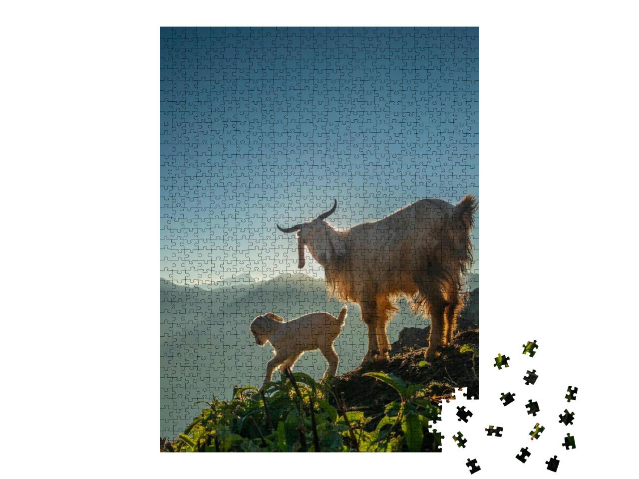 A Goat & Its Kid a Baby Goat in the Mountain with Morning... Jigsaw Puzzle with 1000 pieces