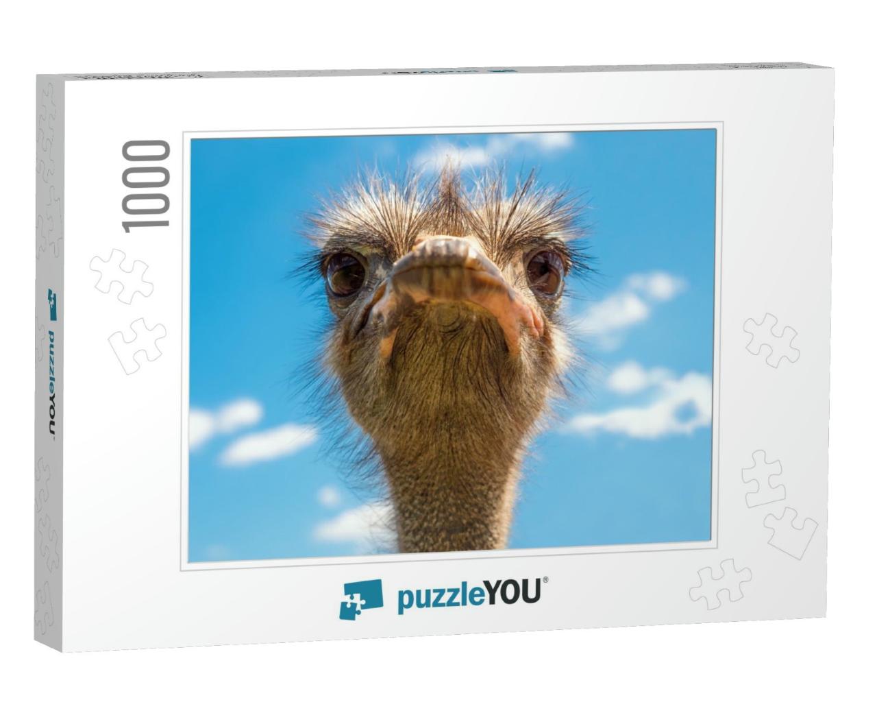Head of Ostrich on Clear Sky Backdrop. Beak of Ostrich. P... Jigsaw Puzzle with 1000 pieces