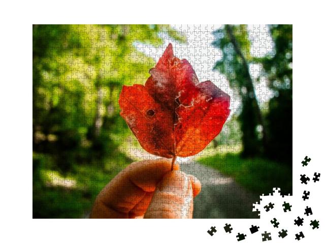 Dreaming Of Autumn Jigsaw Puzzle with 1000 pieces
