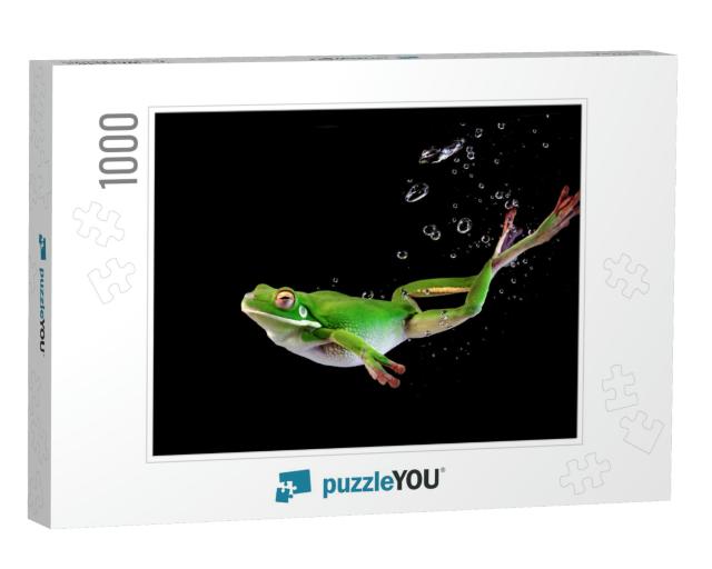 Whitelipped Frog in the Water, Swimming Frog, Whitelipped... Jigsaw Puzzle with 1000 pieces