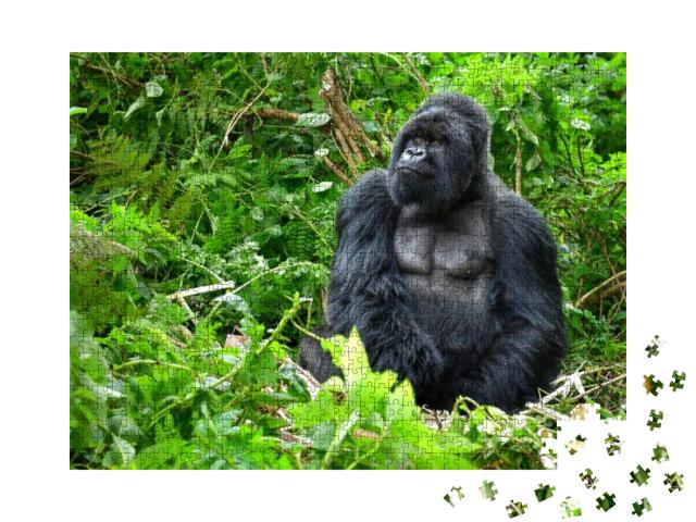 A Silverback Mountain Gorilla in a Rainforest in Rwanda... Jigsaw Puzzle with 1000 pieces