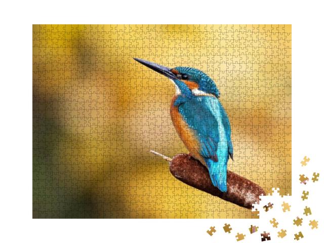Interested Common Kingfisher, Alcedo Atthis, Perched in N... Jigsaw Puzzle with 1000 pieces