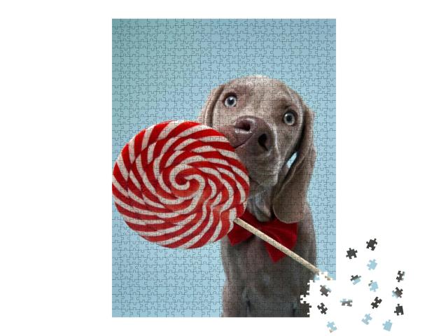 Funny Dog Licks Candy. Happy Weimaraner Puppy on A... Jigsaw Puzzle with 1000 pieces