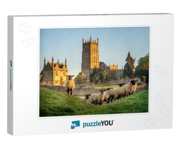 Cotswold Sheep Near Chipping Campden in Gloucestershire w... Jigsaw Puzzle