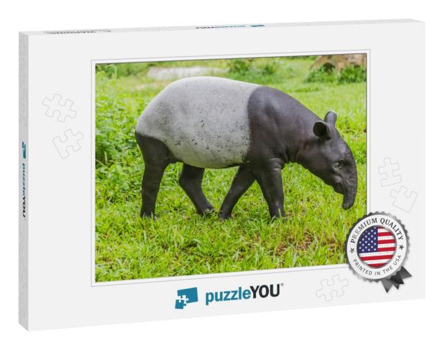 Tapir is a Mammal that Feeds on Large Plants. Tapiridae i... Jigsaw Puzzle