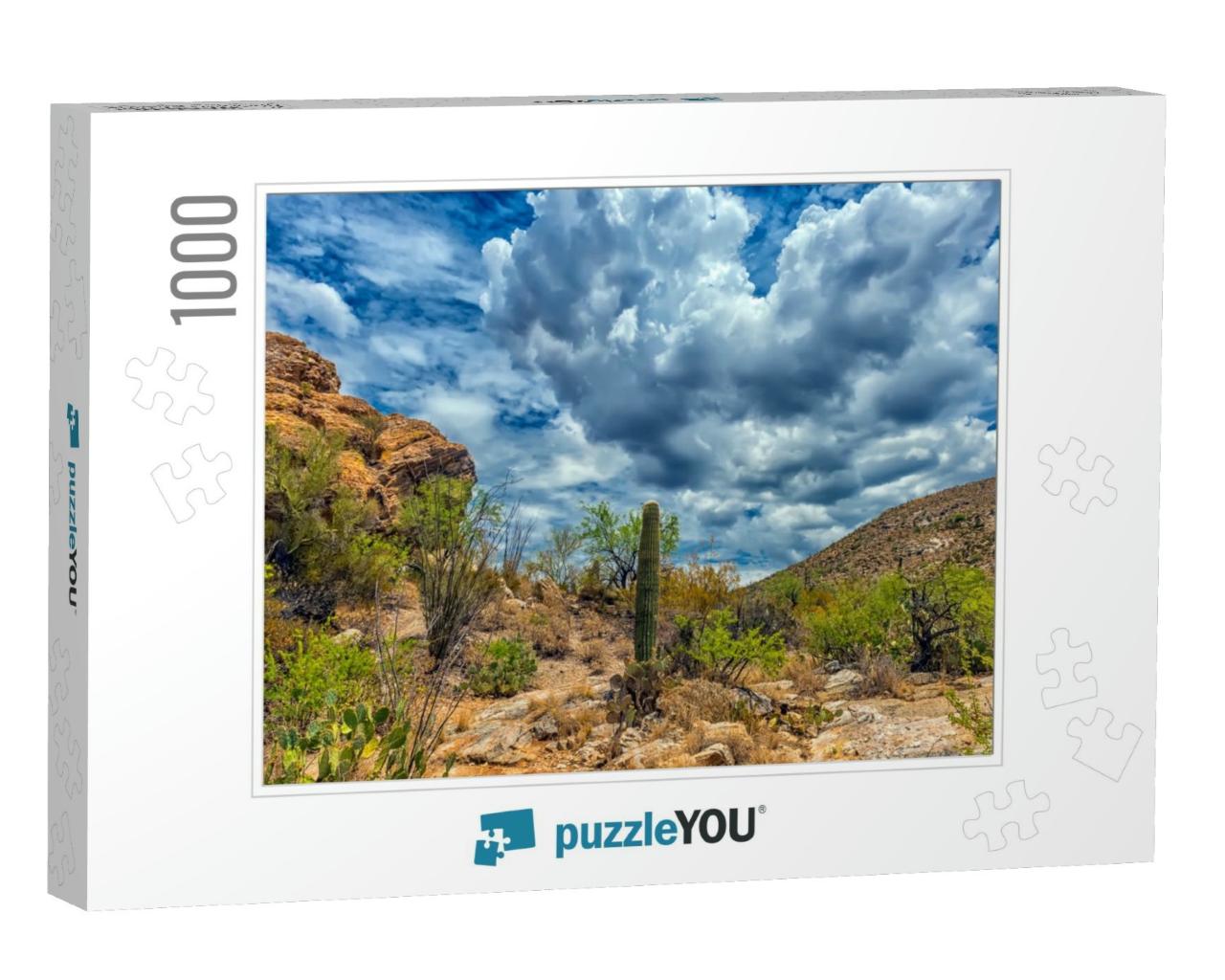 Desert Landscape in Saguaro National Park... Jigsaw Puzzle with 1000 pieces