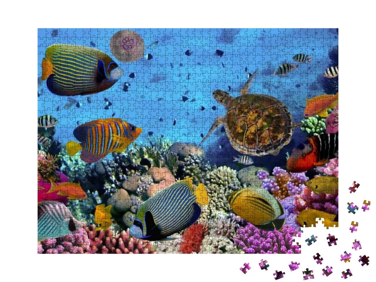 Colorful Coral Reef with Many Fishes & Sea Turtle... Jigsaw Puzzle with 1000 pieces