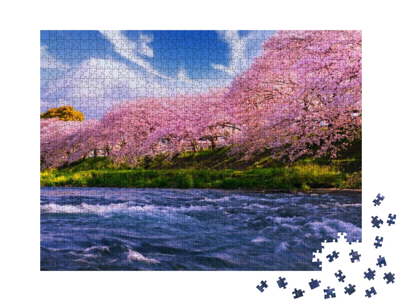 Pink Sakura Flowers, Cherry Blossoms Pink, Sakura Cherry... Jigsaw Puzzle with 1000 pieces