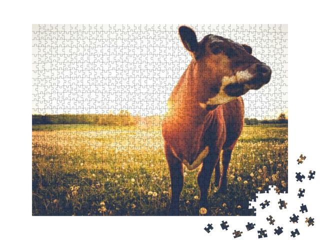 Happy Single Cow on a Meadow During Sunset... Jigsaw Puzzle with 1000 pieces