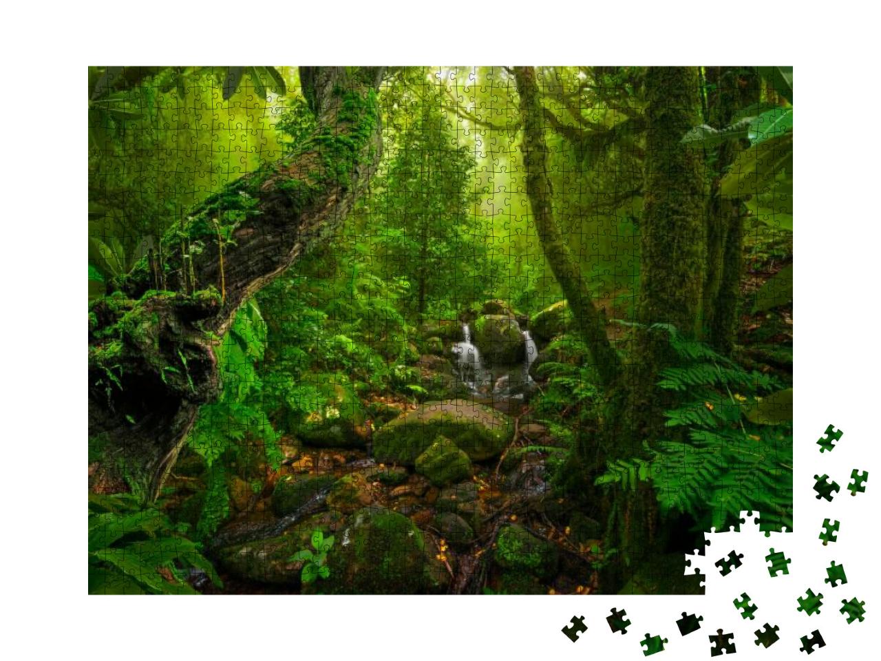 Asian Tropical Rainforest... Jigsaw Puzzle with 1000 pieces