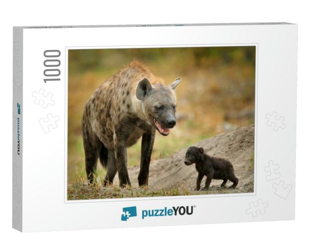 Young Hyena Pup, Mammal Behavior. Hyena, Detail Portrait... Jigsaw Puzzle with 1000 pieces