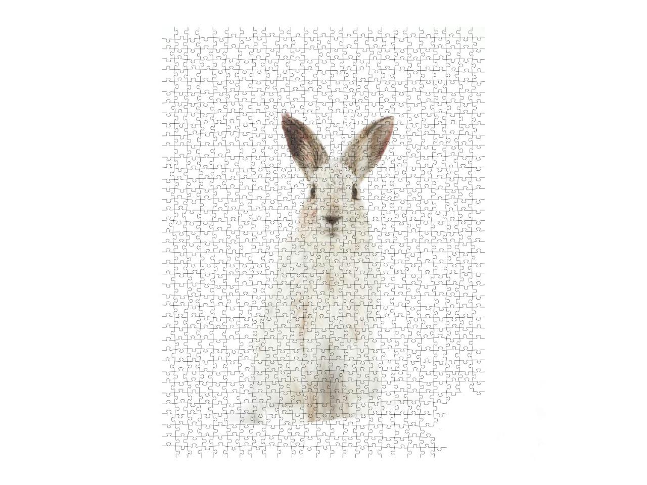 White Snowshoe Hare or Varying Hare Isolated on White Bac... Jigsaw Puzzle with 1000 pieces