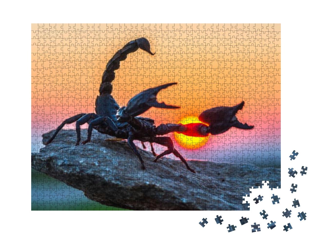 Emperor Scorpion is a Species of Scorpion Native to Rainf... Jigsaw Puzzle with 1000 pieces