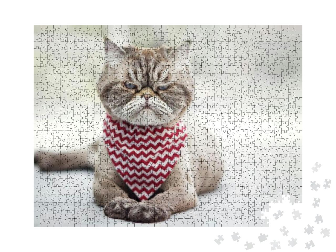 Annoyed Cat... Jigsaw Puzzle with 1000 pieces