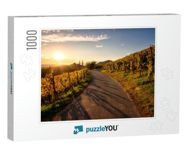 Asphalt Road Through Vineyards At Sunset, Maribor Wine Re... Jigsaw Puzzle with 1000 pieces
