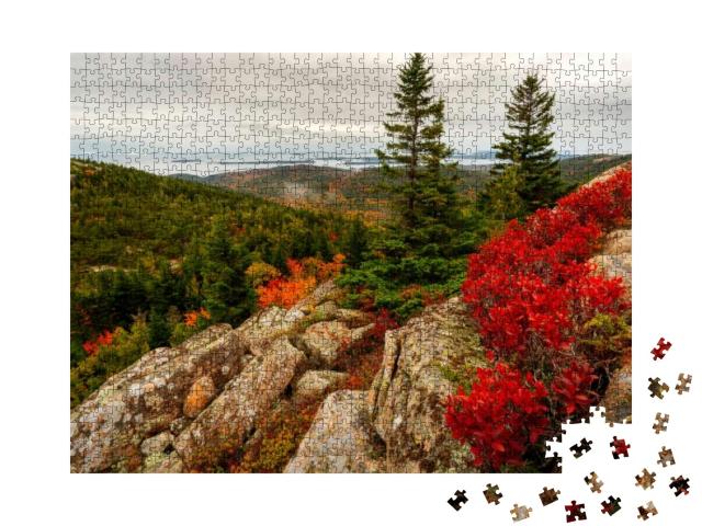 Vibrant Fall Colors At Acadia National Park Near the Peak... Jigsaw Puzzle with 1000 pieces