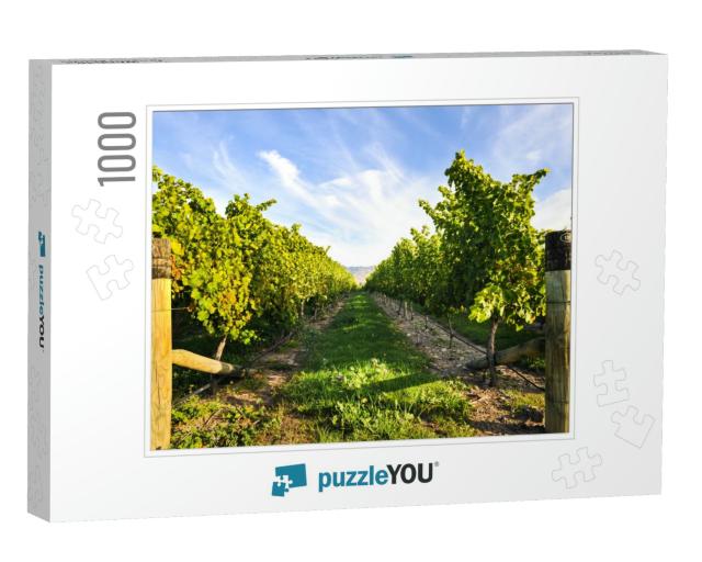 Row of Beautiful Grape Yard Before Sunset with Mountain i... Jigsaw Puzzle with 1000 pieces