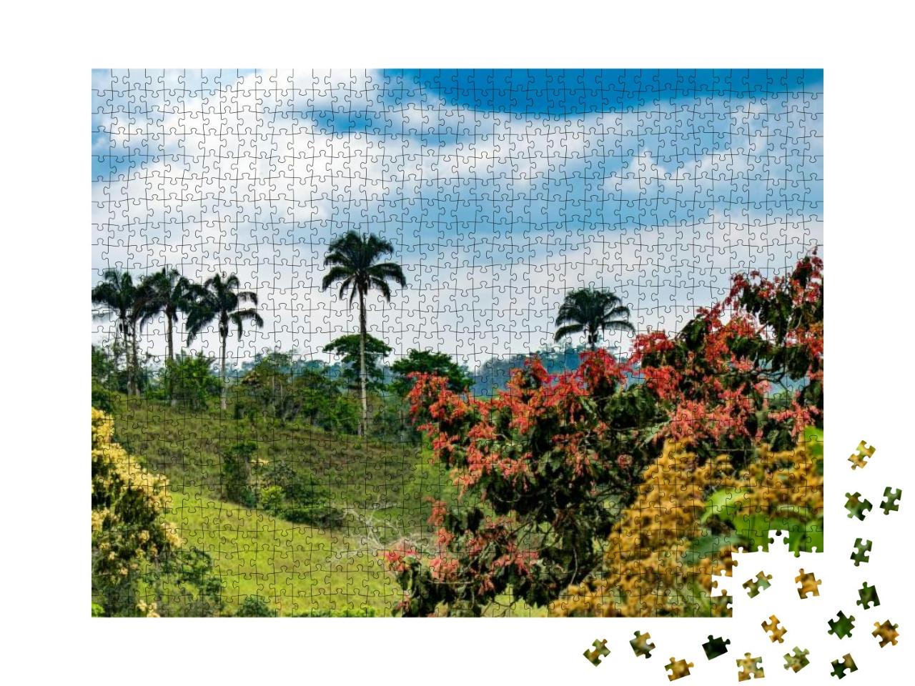 Mashpi Ecological Reserve, Ecuador, Highlands, Cloud Fore... Jigsaw Puzzle with 1000 pieces
