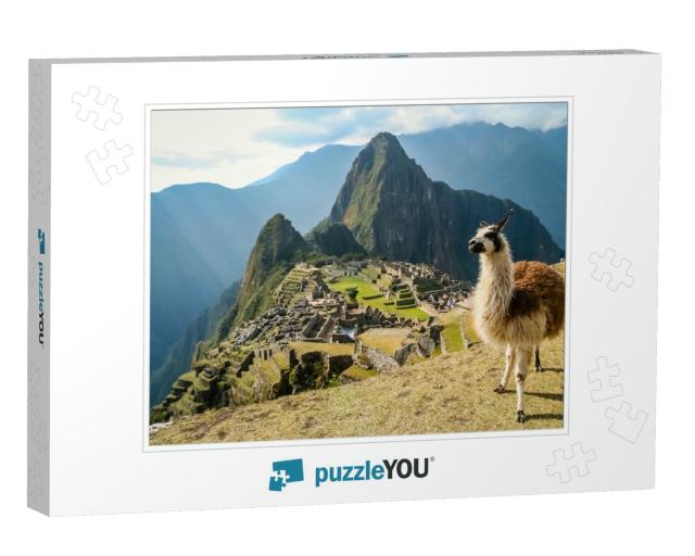 Llama in Front of Ancient Inca Town of Machu Picchu... Jigsaw Puzzle