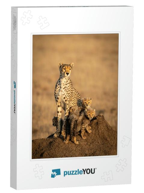 Vertical Portrait of a Female Cheetah & Her Four Small Ba... Jigsaw Puzzle