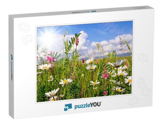 Beautiful Flower Meadow in Summer with Bright Daisies Und... Jigsaw Puzzle