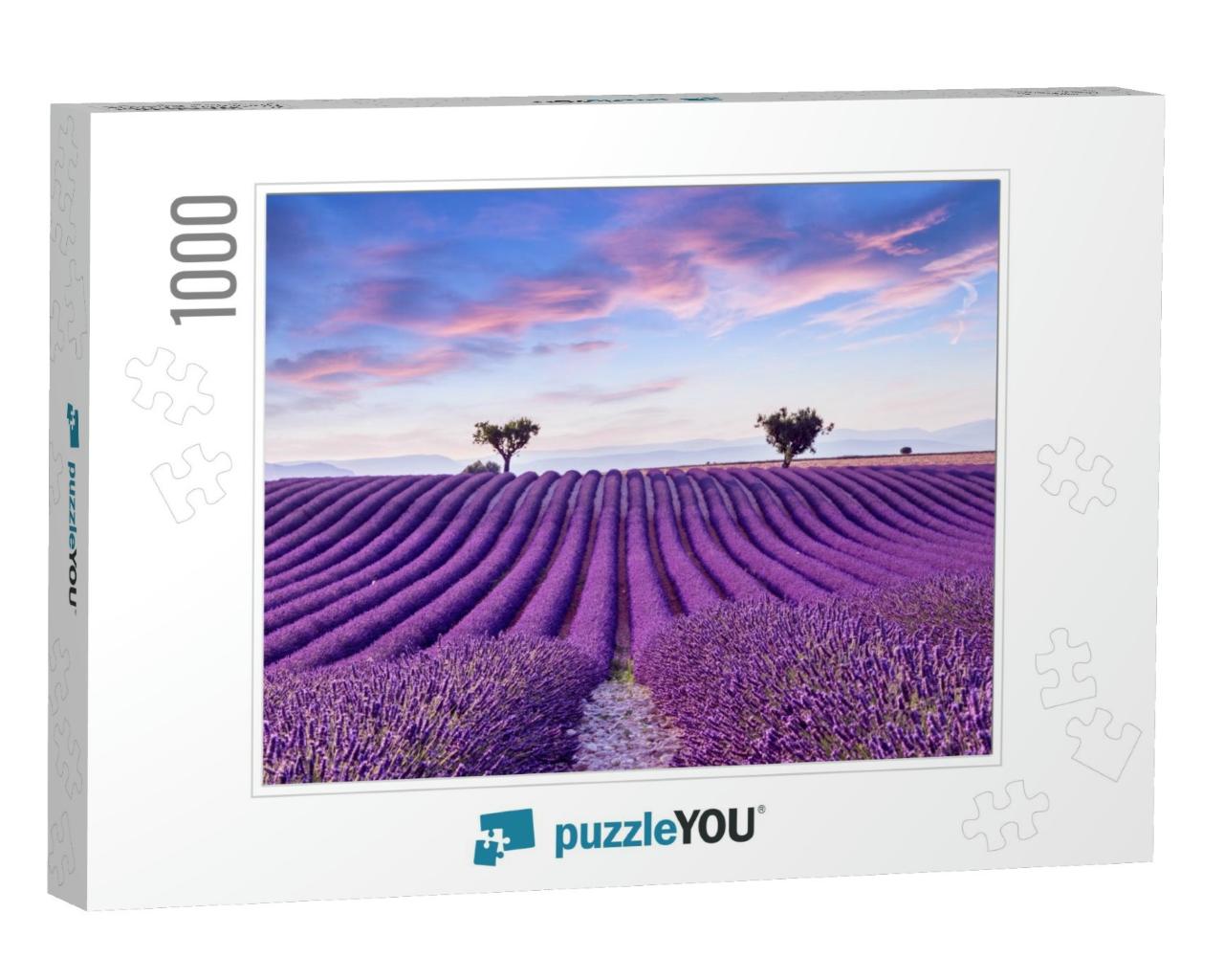 Lavender Field Summer Sunset Landscape Near Valensole. Pr... Jigsaw Puzzle with 1000 pieces