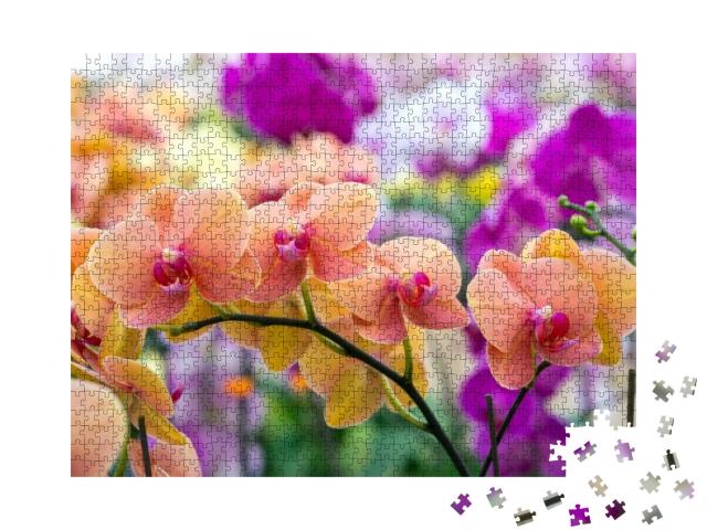 Phalaenopsis Orchids Flowers Bloom in Spring Adorn the Be... Jigsaw Puzzle with 1000 pieces
